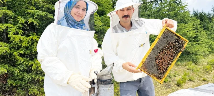 Konya’da Arıcılık Destekleriyle Kovan Varlığı 140 Bine Ulaştı